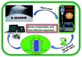 Graphical abstract: Utilization of solar energy for continuous bioethanol production for energy applications
