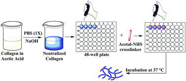 Graphical abstract: An acetal-based polymeric crosslinker with controlled pH-sensitivity