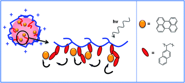 Graphical abstract: Polymeric nanocapsules templated on liquid cores as efficient photoreactors