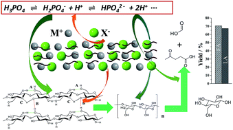 Graphical abstract: Direct production of levulinic acid in high yield from cellulose: joint effect of high ion strength and microwave field