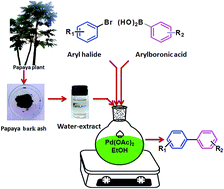 Graphical abstract: Analysis of the water extract of waste papaya bark ash and its implications as an in situ base in the ligand-free recyclable Suzuki–Miyaura coupling reaction