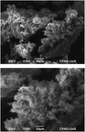 Graphical abstract: Simpler and highly sensitive enzyme-free sensing of urea via NiO nanostructures modified electrode