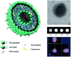 Graphical abstract: Design and characterization of gadolinium infused theranostic liposomes