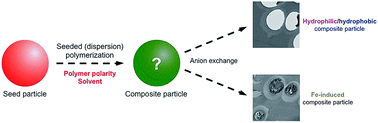 Graphical abstract: Preparation of poly(ionic liquid) composite particles and function modification with anion exchange