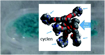 Graphical abstract: A new high-capacity metal ion-complexing gel containing cyclen ligands