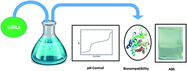 Graphical abstract: Extraction of an active enzyme by self-buffering ionic liquids: a green medium for enzymatic research