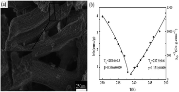 Graphical abstract: Strange critical behaviors of ferromagnetic to paramagnetic transition in La0.5Ca0.5MnO3 nanowires bundles