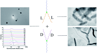 Graphical abstract: Stable stereocomplex micelles from Y-shaped amphiphilic copolymers MPEG–(scPLA)2: preparation and characteristics