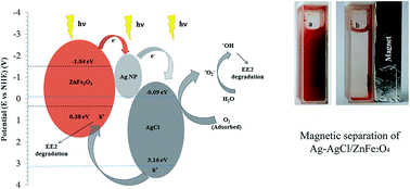 Graphical abstract: Efficient visible light photocatalytic degradation of 17α-ethinyl estradiol by a multifunctional Ag–AgCl/ZnFe2O4 magnetic nanocomposite