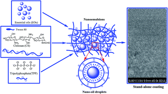Graphical abstract: Edible coating from citrus essential oil-loaded nanoemulsions: physicochemical characterization and preservation performance