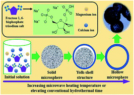 Graphical abstract: Magnesium whitlockite hollow microspheres: a comparison of microwave-hydrothermal and conventional hydrothermal syntheses using fructose 1,6-bisphosphate, and application in protein adsorption