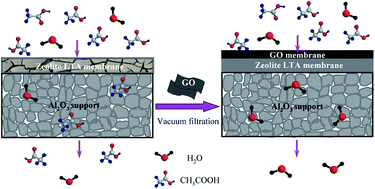 Graphical abstract: A graphene oxide layer as an acid-resisting barrier deposited on a zeolite LTA membrane for dehydration of acetic acid