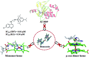 Graphical abstract: N-(7-Chloroquinolinyl-4-aminoalkyl)arylsulfonamides as antimalarial agents: rationale for the activity with reference to inhibition of hemozoin formation