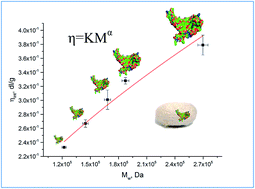 Graphical abstract: Mark–Houwink–Sakurada coefficients determination for molar mass of silk fibroin from viscometric results. SEC-MALLS approach