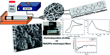 Graphical abstract: Designing a novel nanocomposite for bone tissue engineering using electrospun conductive PBAT/polypyrrole as a scaffold to direct nanohydroxyapatite electrodeposition