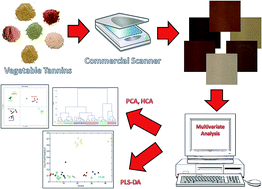 Graphical abstract: A non-destructive, rapid and inexpensive methodology based on digital images for the classification of natural tannin extracts