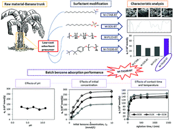 Graphical abstract: Surfactant modification of banana trunk as low-cost adsorbents and their high benzene adsorptive removal performance from aqueous solution