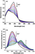 Graphical abstract: A ratiometric fluorescent probe for quantification of alkaline phosphatase in living cells