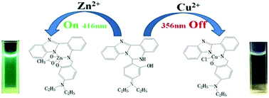 Graphical abstract: A single chemosensor for bimetal Cu(ii) and Zn(ii) in aqueous medium
