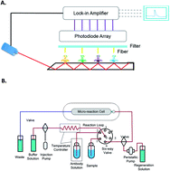 Graphical abstract: Kinetic analysis of a high-affinity antibody/antigen interaction performed by planar waveguide fluorescence immunosensor