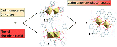 Graphical abstract: Cadmium phenylphosphonates: preparation, characterisation and in situ investigation