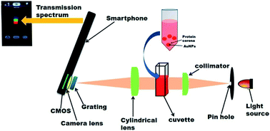 Graphical abstract: Smartphone based LSPR sensing platform for bio-conjugation detection and quantification