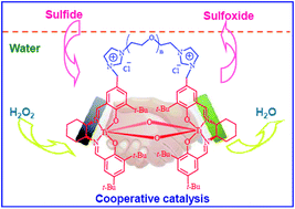 Graphical abstract: Cooperative chiral salen TiIV catalysts with built-in phase-transfer capability accelerate asymmetric sulfoxidation in water