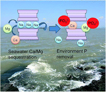 Graphical abstract: Sequestration of naturally abundant seawater calcium and magnesium to enhance the adsorption capacity of bentonite toward environmental phosphate