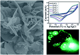 Graphical abstract: Glucose sensing and low-threshold field emission from MnCo2O4 nanosheets