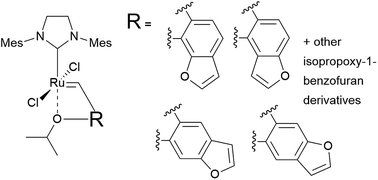 Graphical abstract: Structural analogues of Hoveyda–Grubbs catalysts bearing the 1-benzofuran moiety or isopropoxy-1-benzofuran derivatives as olefin metathesis catalysts