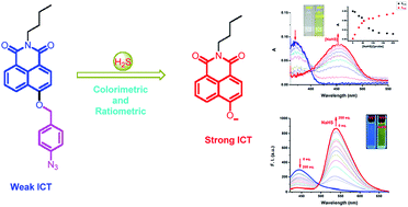 Graphical abstract: An ICT-based colorimetric and ratiometric fluorescent probe for hydrogen sulfide and its application in live cell imaging