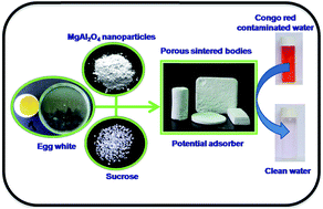 Graphical abstract: A green fabrication strategy for MgAl2O4 foams with tunable morphology