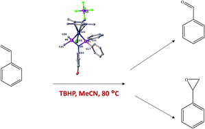 Graphical abstract: Iridium and rhodium “PNP” aminodiphosphine complexes used as catalysts in the oxidation of styrene