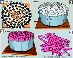 Graphical abstract: Influence of the electrodeposition potential on the crystallographic structure and effective magnetic easy axis of cobalt nanowires