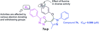 Graphical abstract: Design, synthesis, and characterization of a fluoro substituted novel pyrazole nucleus clubbed with 1,3,4-oxadiazole scaffolds and their biological applications