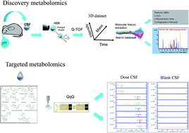 Graphical abstract: Rapid discovery and identification of multiple absorbed chemical constituents and metabolites in rat cerebrospinal fluid after oral administration of Jitai tablets by a LC-MS based metabolomics approach