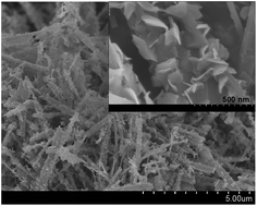 Graphical abstract: Synthesis of BiOI nanosheet/coarsened TiO2 nanobelt heterostructures for enhancing visible light photocatalytic activity