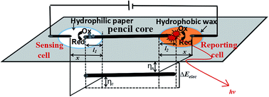 Graphical abstract: A bipolar electrochemiluminescence sensing platform based on pencil core and paper reservoirs