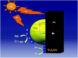 Graphical abstract: In situ fabrication of highly crystalline CdS decorated Bi2S3 nanowires (nano-heterostructure) for visible light photocatalyst application