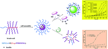 Graphical abstract: Well-defined degradable brush-coil block copolymers for intelligent release of insulin at physiological pH