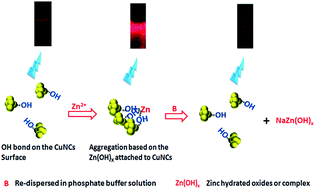 Graphical abstract: One-pot development of water soluble copper nanoclusters with red emission and aggregation induced fluorescence enhancement