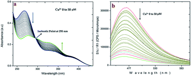 Graphical abstract: β-Cyclodextrin included coumarin derivatives as selective fluorescent sensors for Cu2+ ions in HeLa cells