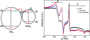 Graphical abstract: Improved photocatalytic activity of RGO/MoS2 nanosheets decorated on TiO2 nanoparticles