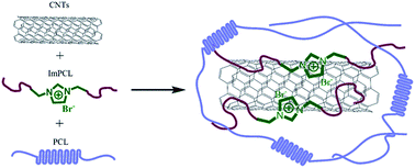 Graphical abstract: Effect of ionic liquid-containing poly(ε-caprolactone) on the dispersion and dielectric properties of polymer/carbon nanotube composites