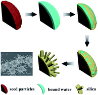 Graphical abstract: Modification of colloidal particles by unidirectional silica deposition for urchin-like morphologies