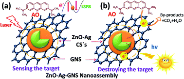 Graphical abstract: Graphene based nanoassembly for simultaneous detection and degradation of harmful organic contaminants from aqueous solution