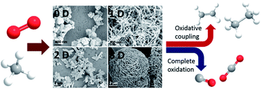 Graphical abstract: La2O3 catalysts with diverse spatial dimensionality for oxidative coupling of methane to produce ethylene and ethane