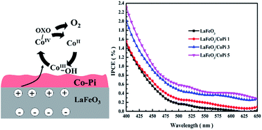 Graphical abstract: Surface modification of LaFeO3 by Co-Pi electrochemical deposition as an efficient photoanode under visible light