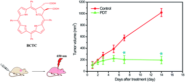 Graphical abstract: Synthesis, characterization and biological evaluation of a novel biscarboxymethyl-modified tetraphenylchlorin compound for photodynamic therapy