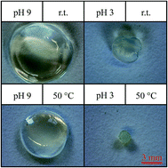 Graphical abstract: Tetra-sensitive graft copolymer gels with high volume changes